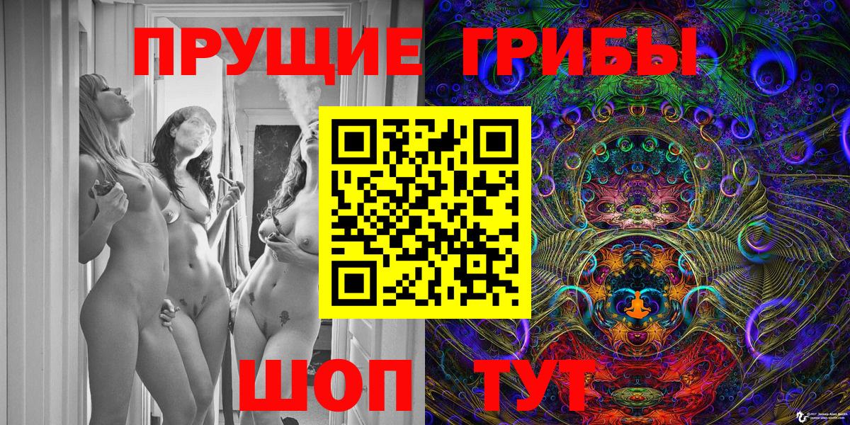 Псилоцибиновые грибы Psilocybine cubensis  Вход с VPN  Сланцы 