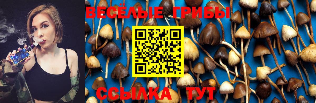 Псилоцибиновые грибы Psilocybe Сланцы